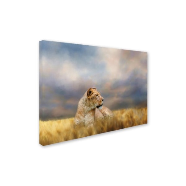 Jai Johnson 'Lioness After The Storm' Canvas Art,18x24